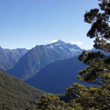 Gathering Insights part 1 image